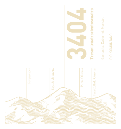 3404